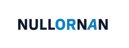 NullorNaN Systems